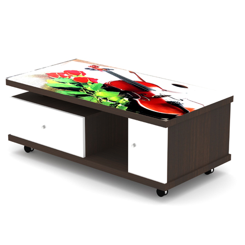 SCT 317 Coffee Table